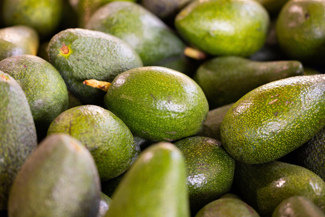 Zelf tropisch fruit kweken in Nederland: van zaad tot oogst
