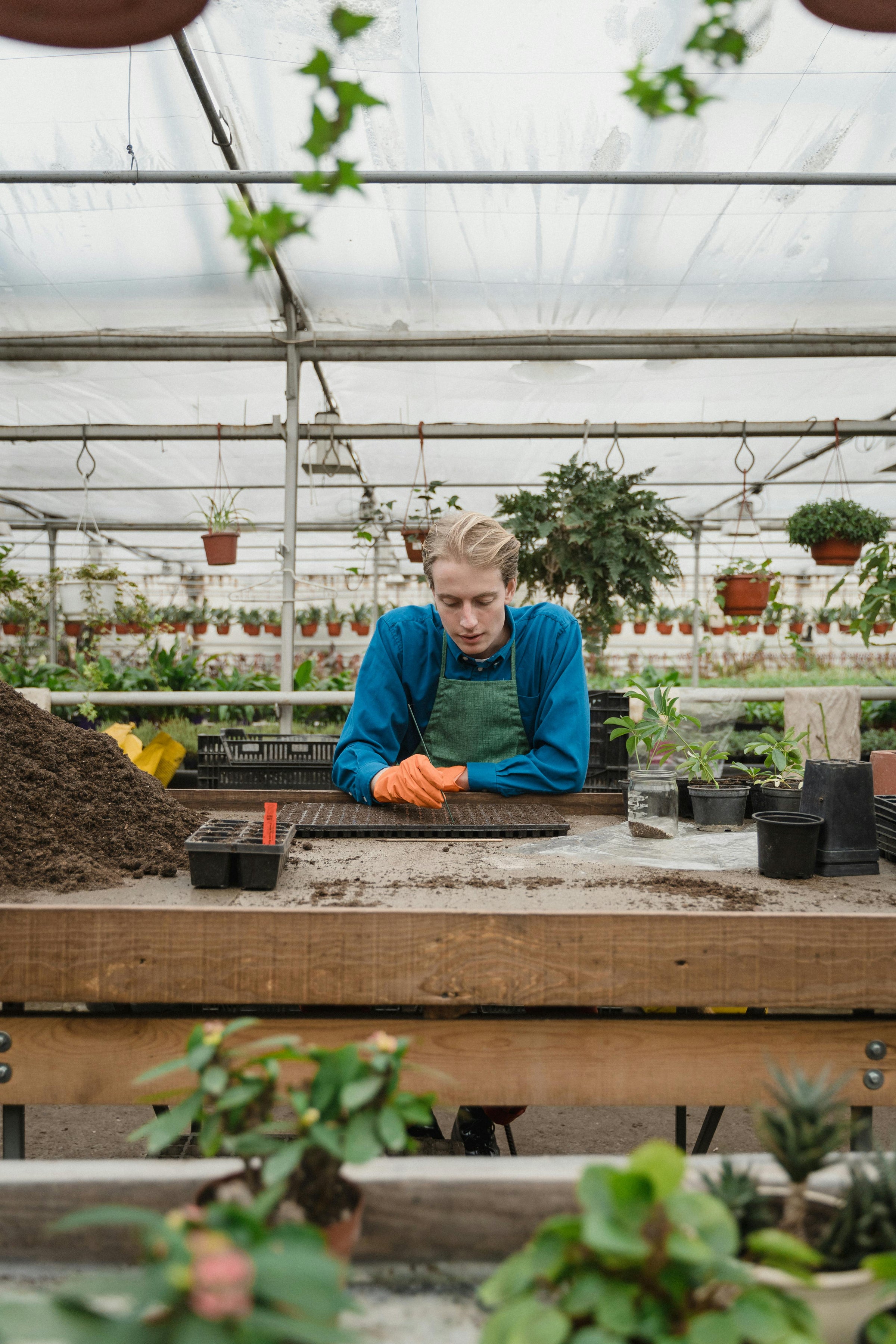 Kweek accessoires tropische planten Jungle Flora