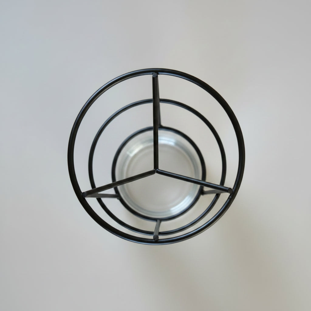 Zadenhouder voor Glas — Avocadopitten &amp; Palmpitten Laten Kiemen