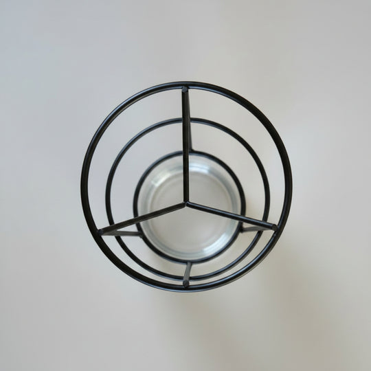 Zadenhouder voor Glas — Avocadopitten &amp; Palmpitten Laten Kiemen