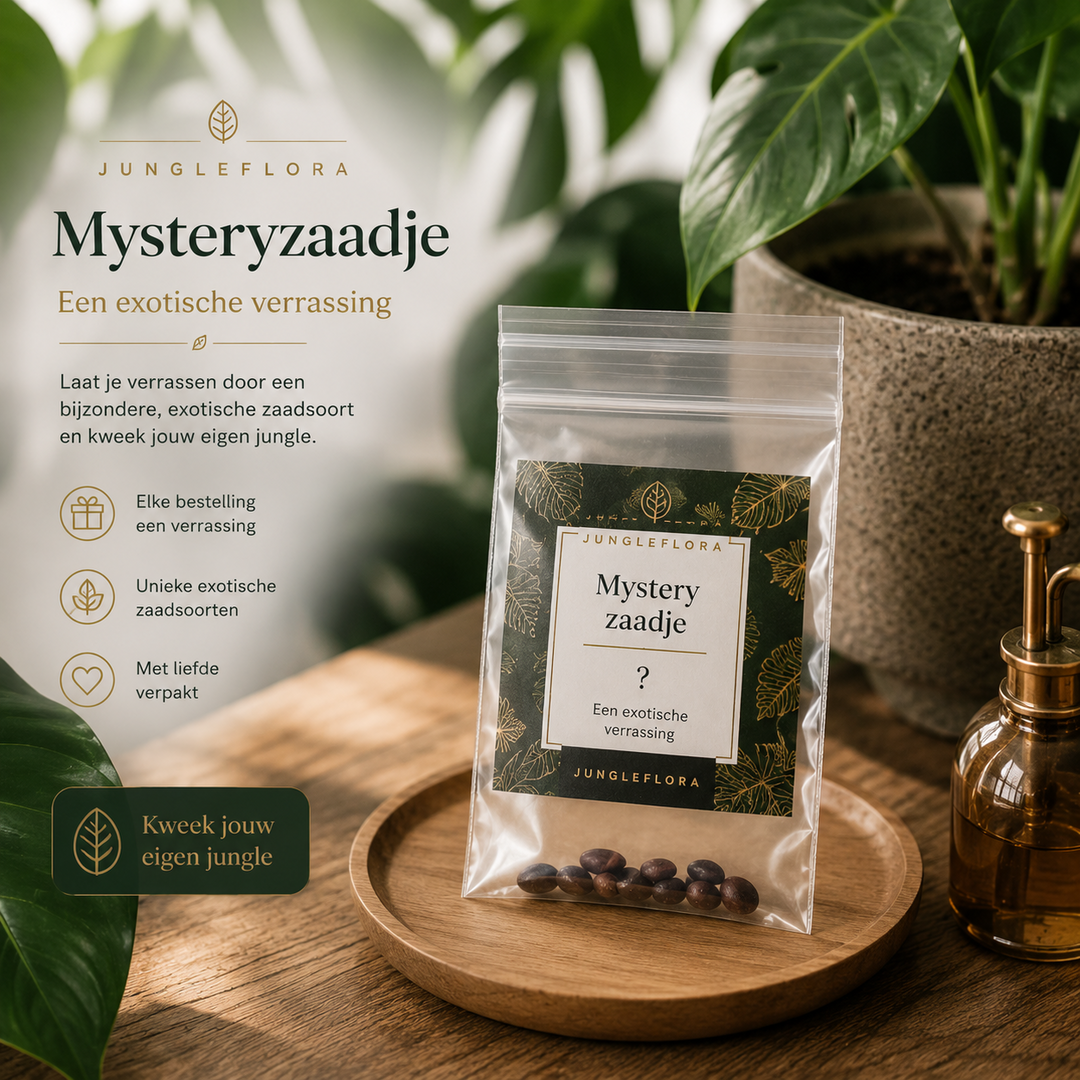 Mysteryzaadje