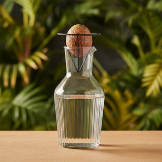 Zadenhouder voor Glas — Avocadopitten & Palmpitten Laten Kiemen